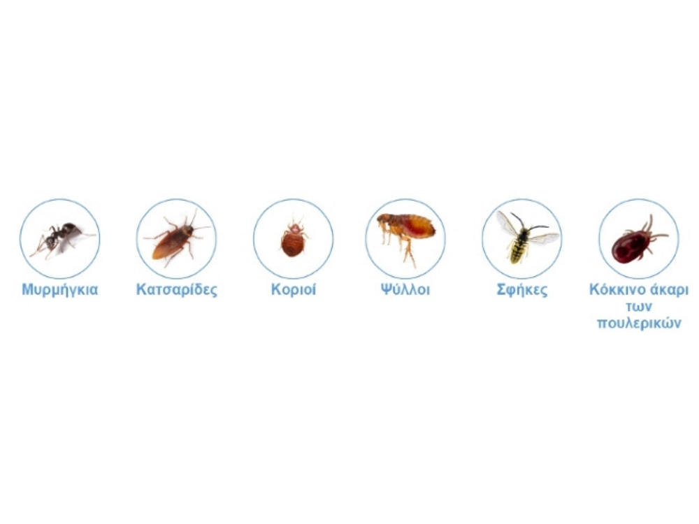 Duracid PW 1kg – Εντομοκτόνος Σκόνη Μεγάλης Κάλυψης