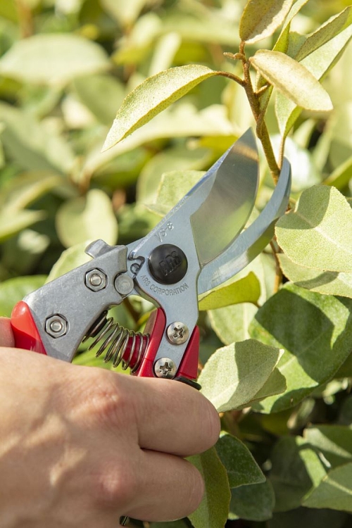 ARS VS-8XR ψαλίδι κλαδέματος – χρήση από ερασιτέχνη