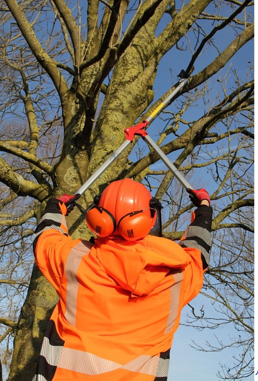 ARS 185-1.8 κλαδευτήρι μεγάλης εμβέλειας – χρήση σε οπωρώνα