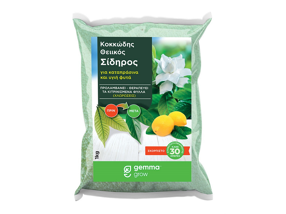 Θειικός σίδηρος κοκκώδης 1kg για θεραπεία χλωρώσεων και βελτίωση εδάφους