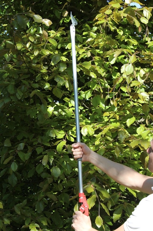 ARS 180-1.2 – χρήση σε κλάδεμα δέντρων σε ύψος