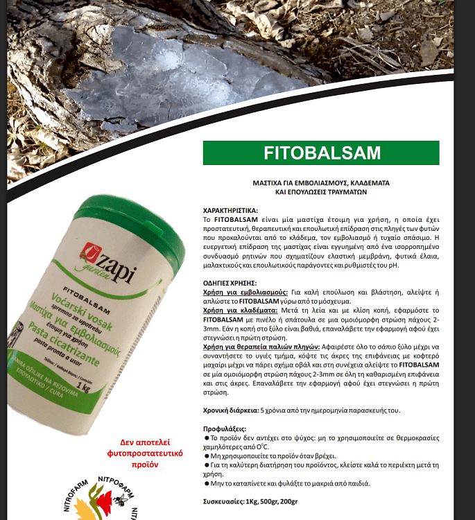 Zapi FITOBALSAM μαστίχα εμβολιασμού 500g έτοιμη χρήση