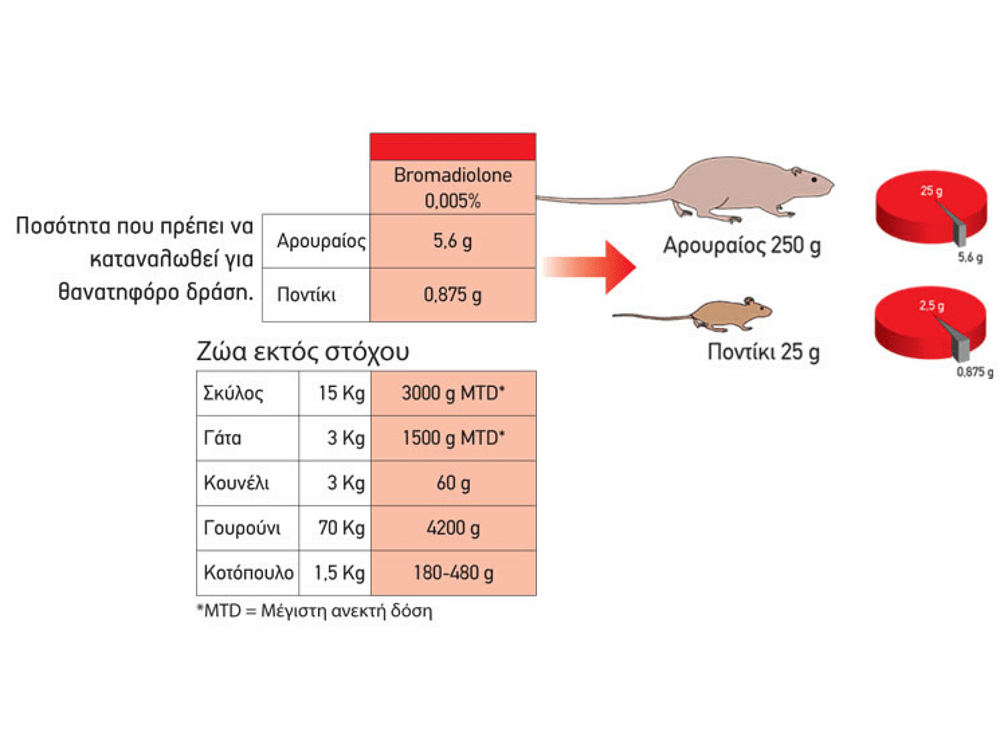 Vebirat Grain 100g – Τρωκτικοκτόνο Δόλωμα Σιτάρι για Ποντίκια & Αρουραίους
