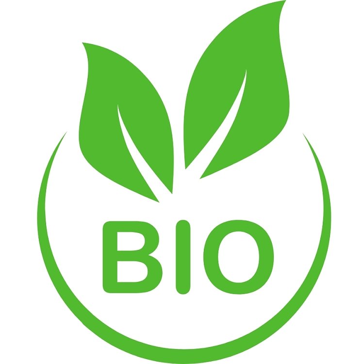 Kelp 100 – Φυσικό Εκχύλισμα Φυκιού για Ρίζες & Φύλλωμα BIO