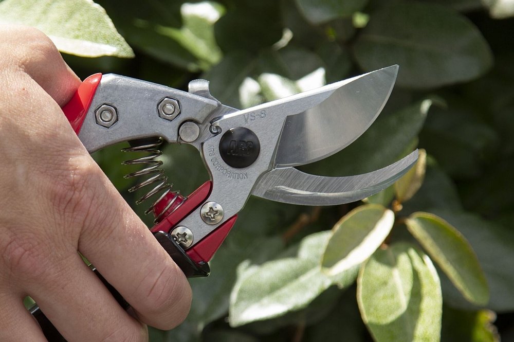 ARS VS-9XR ψαλίδι κλαδέματος – χρήση από επαγγελματία κλαδευτή