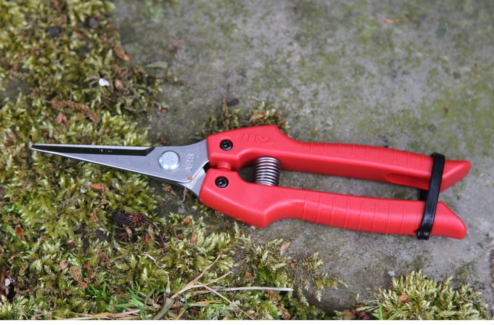 ARS SE-45 κλαδευτήρι συγκομιδής – χρήση σε γλάστρα ή οικιακό κήπο