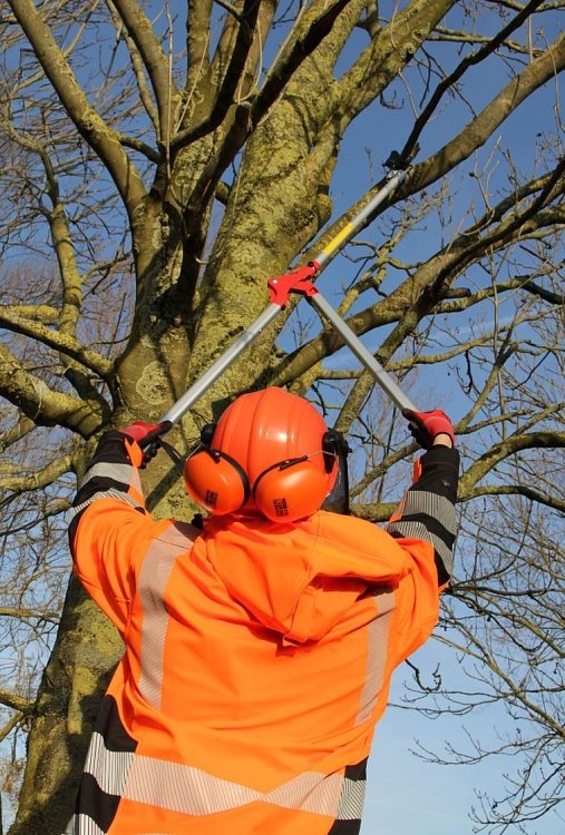 ARS 185-1.5 κλαδευτήρι μεγάλης εμβέλειας – χρήση σε οπωρώνα