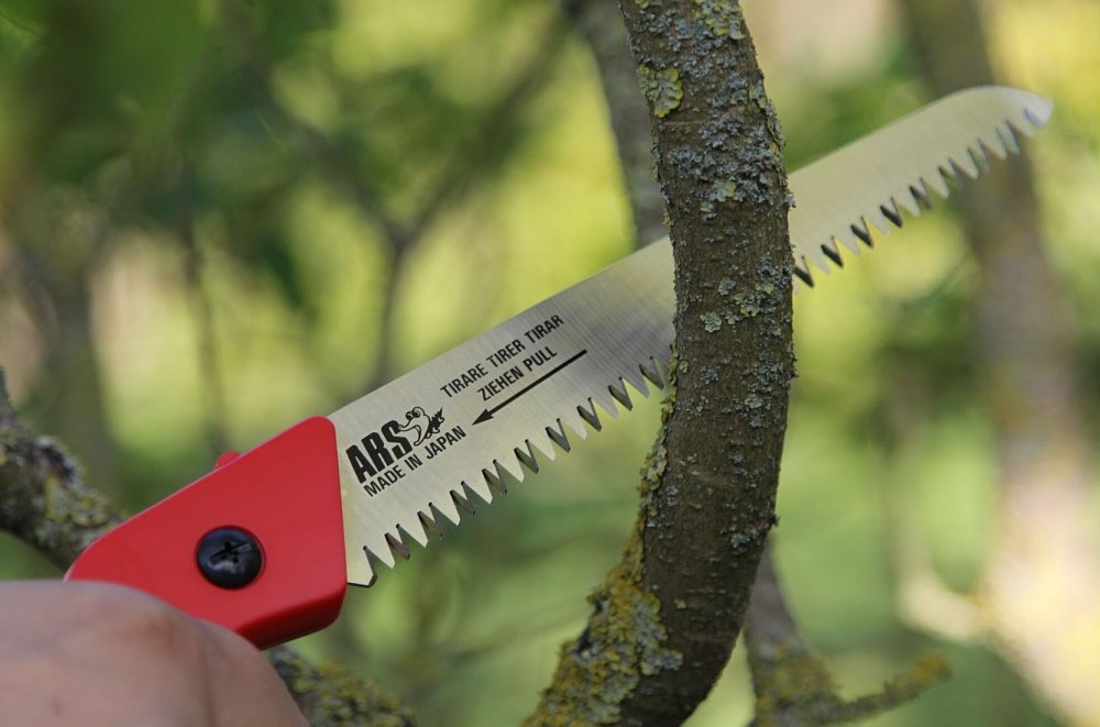 ARS CAM-18LN πριόνι – εφαρμογή στον κήπο