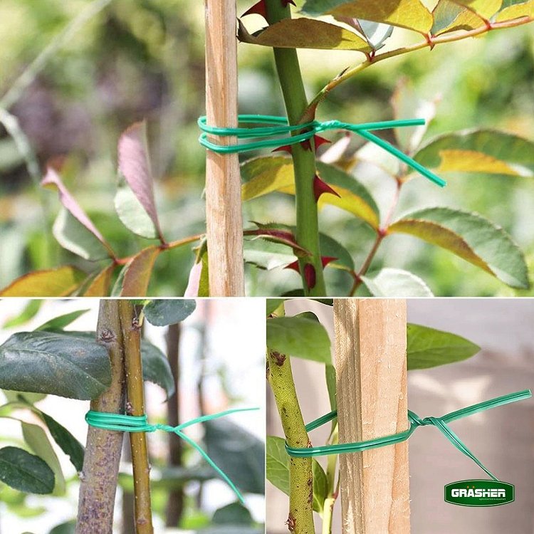 Τρόπος χρήσης πλαστικοποιημένου σύρματος σε λεπτά κλαδιά