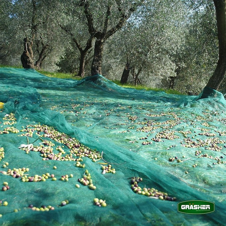 Ελαιόδιχτο GRASHER 90gr/m² με Κρίκους – UV 5 Χρόνια