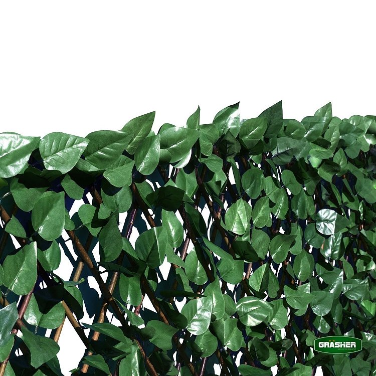GRASHER Φυλλωσιά 1x2m – κοντινό πλάνο πυκνού φυλλώματος