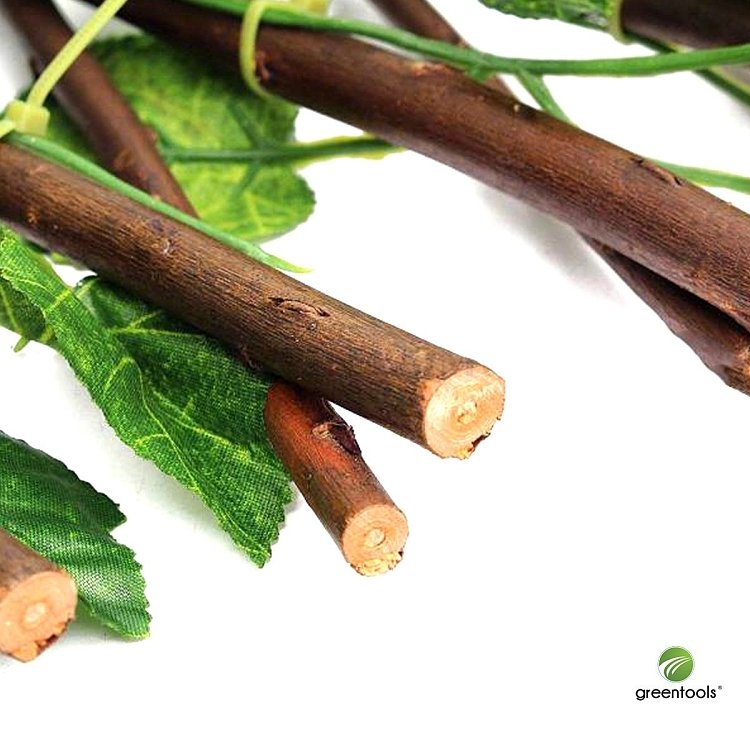 Συνθετική Φυλλωσιά – χρήση σε οικιακό κήπο