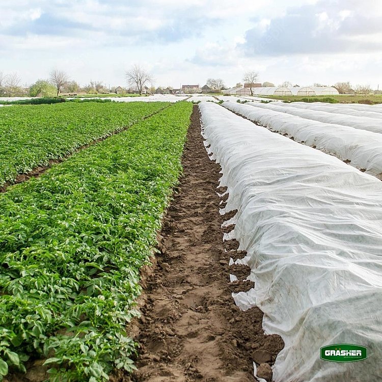 GRASHER Αντιπαγετικό Ύφασμα 1,5x25m – Προστασία Φυτών