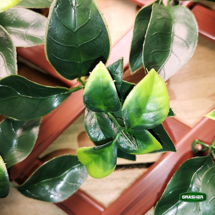 Συνθετική Φυλλωσιά GRASHER GD010 – παρουσίαση σε ράφι καταστήματος