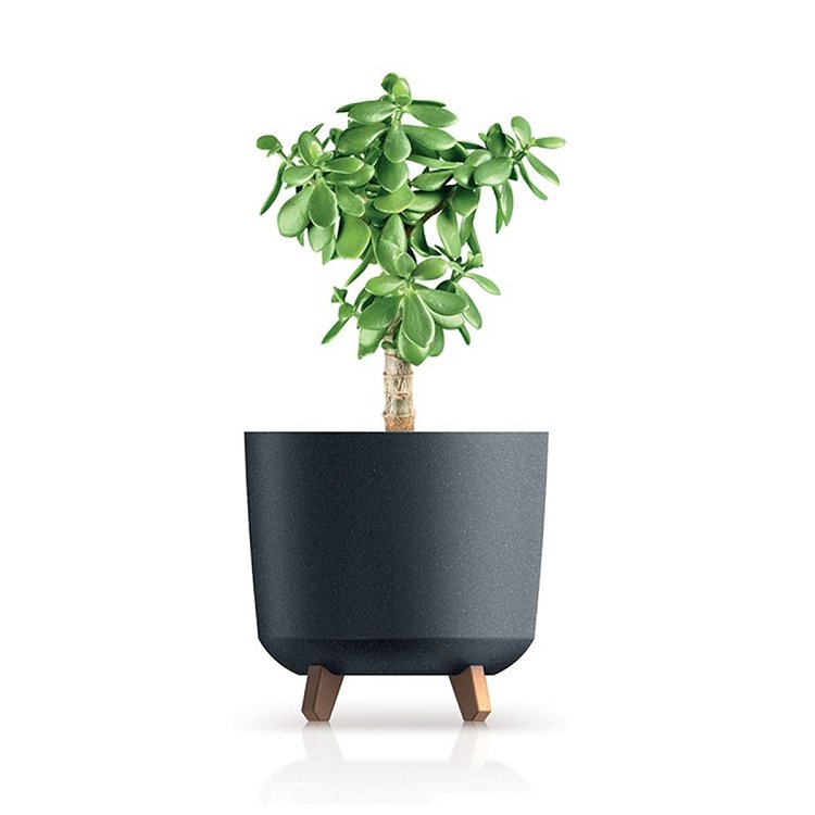 PROSPERPLAST Gracia Tubus Eco Wood Γλάστρα – εφαρμογή σε κήπο ή βεράντα