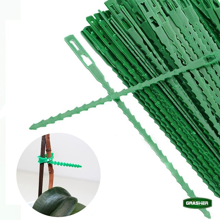 Δεματικά Grasher για υποστήριξη ανάπτυξης λαχανικών