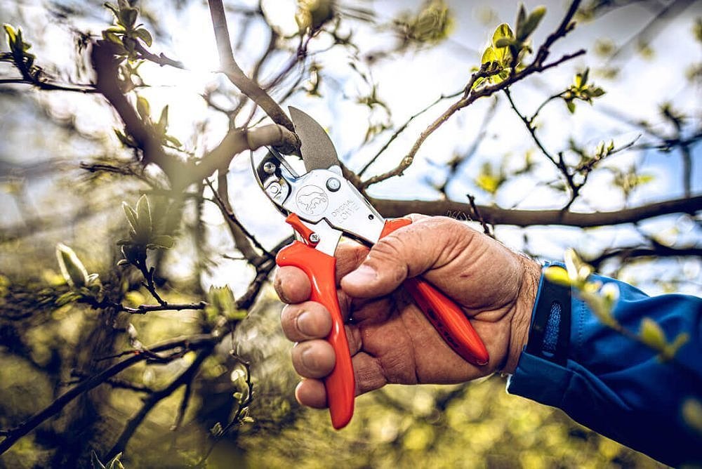 LOWE 1104 Κλαδευτήρι Αμονιού – χρήση σε κήπο