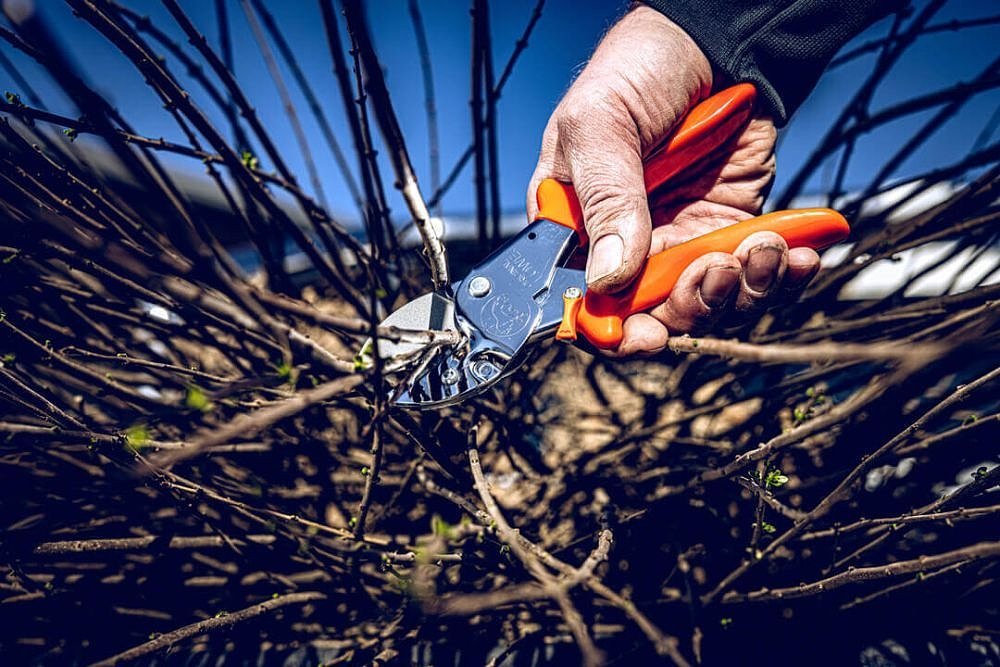 LOWE 1104 Κλαδευτήρι Αμονιού – εικόνα προϊόντος επαγγελματικής χρήσης