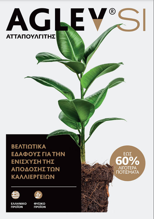 Aglev SI Ατταπουλγίτης – λεπτομέρεια κόκκων ορυκτού