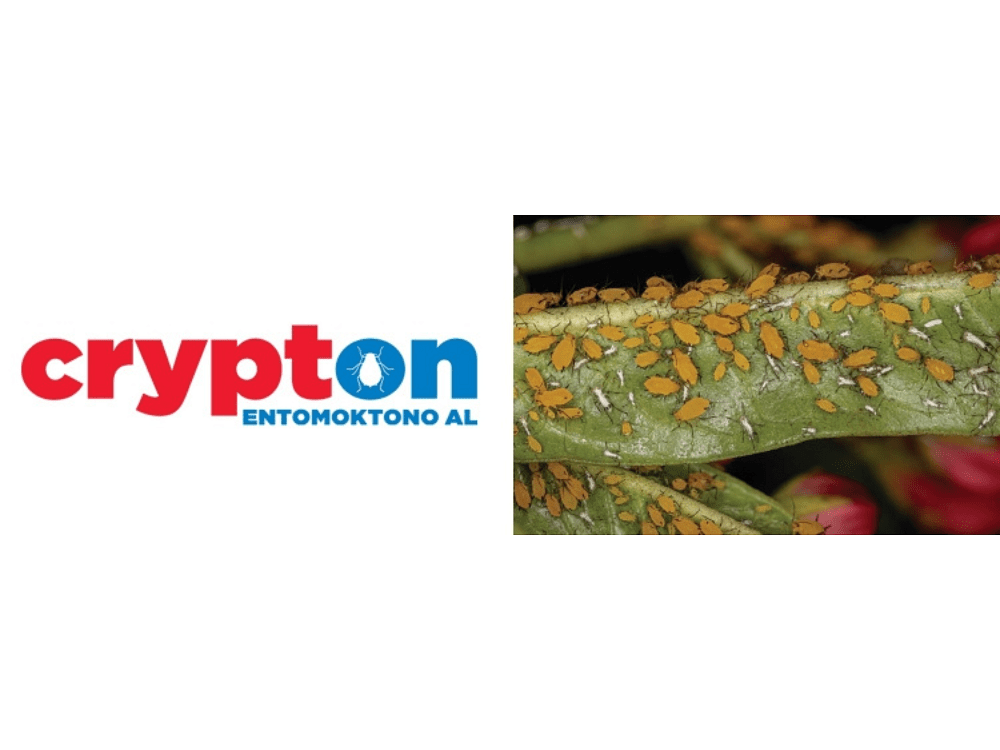 Crypton Εντομοκτόνο 350cc – Ετοιμόχρηστο για Αφίδες & Αλευρώδη