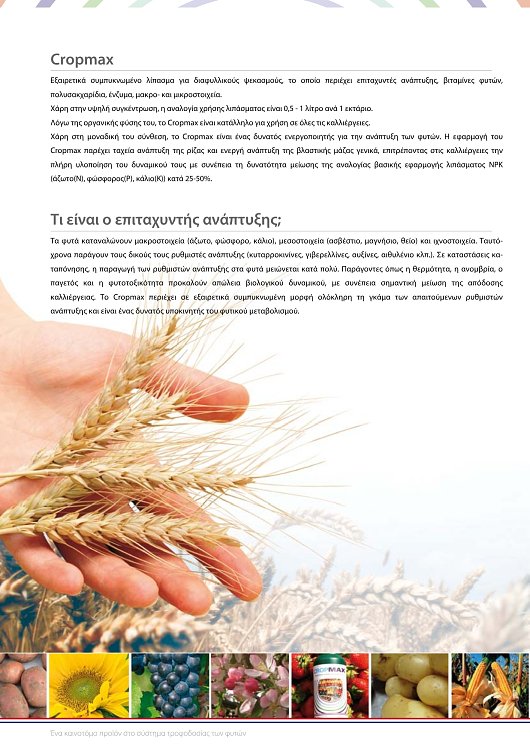 Διαφυλλικός ψεκασμός ελιάς με βιοδιεγέρτη αμινοξέων
