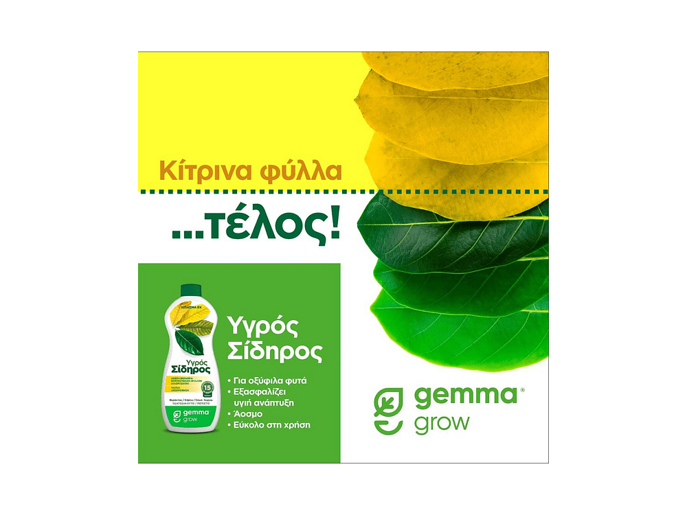 Υγρός σίδηρος 300ml για θεραπεία χλωρώσεων και κιτρινίσματος φύλλων φυτών