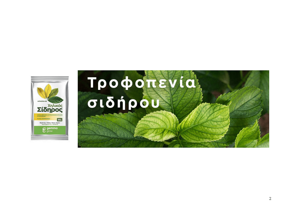 Χηλικός σίδηρος σκόνη 50g — πλήρως υδατοδιάλυτος για άμεση θεραπεία χλωρώσεων φυτών