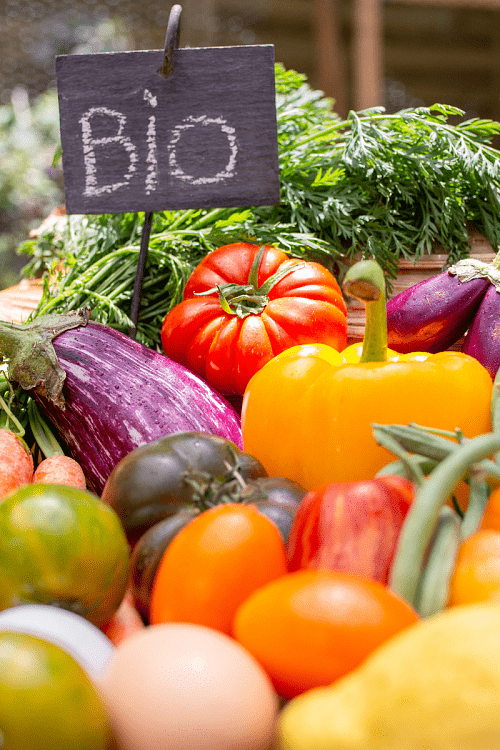 Βιολογική Καλλιέργεια – Οδηγός για Αρχάριους