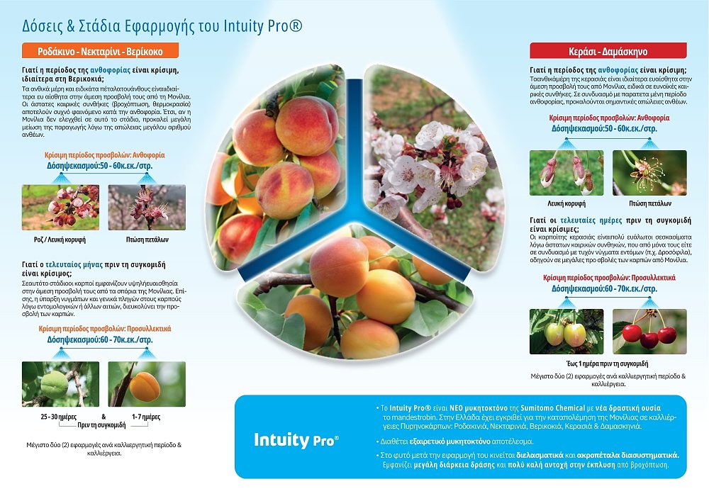 Μυκητοκτόνο για φαιά σήψη INTUITY PRO