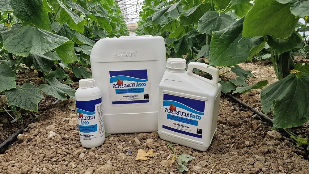 SK AKTIVE Asco – λεπτομέρεια υγρής σύστασης φυκοεκχυλίσματος