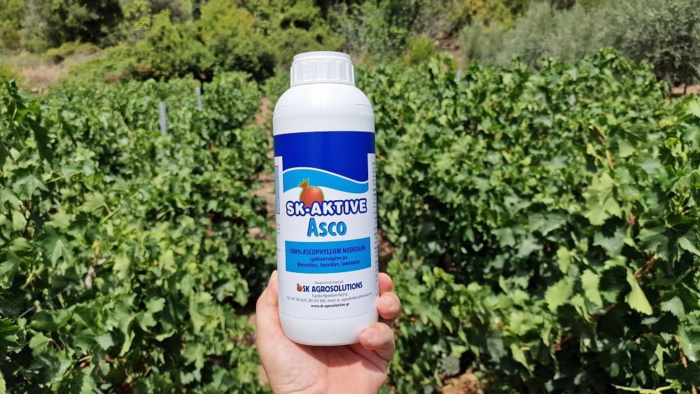 SK AKTIVE Asco – λεπτομέρεια ετικέτας και λογότυπου