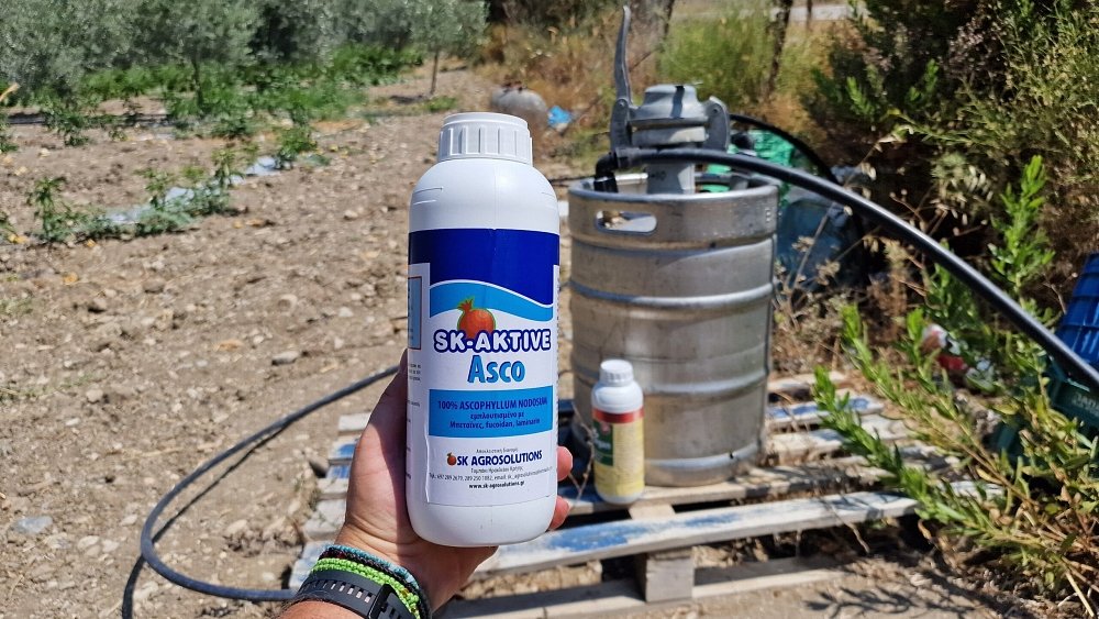 SK AKTIVE Asco – επαγγελματίας παραγωγός σε διαφυλλικό ψεκασμό