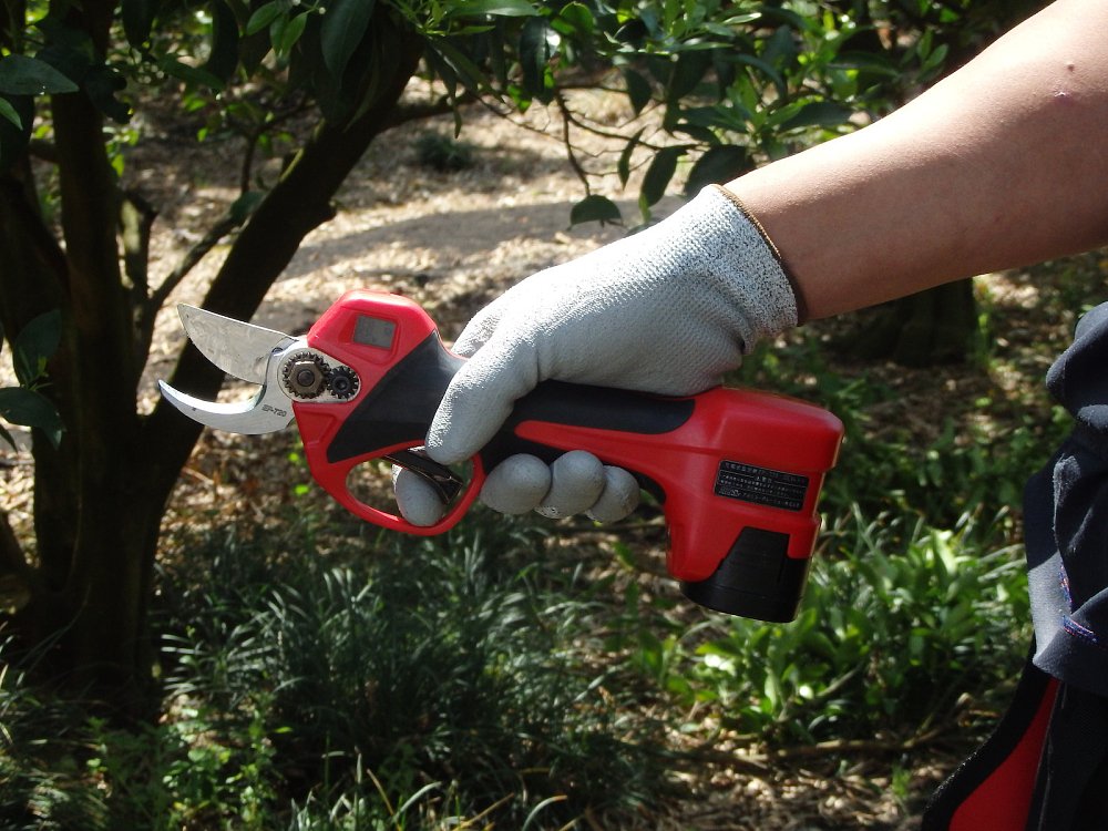 ARS EP-720 – χρήση σε κήπο ή γλάστρες