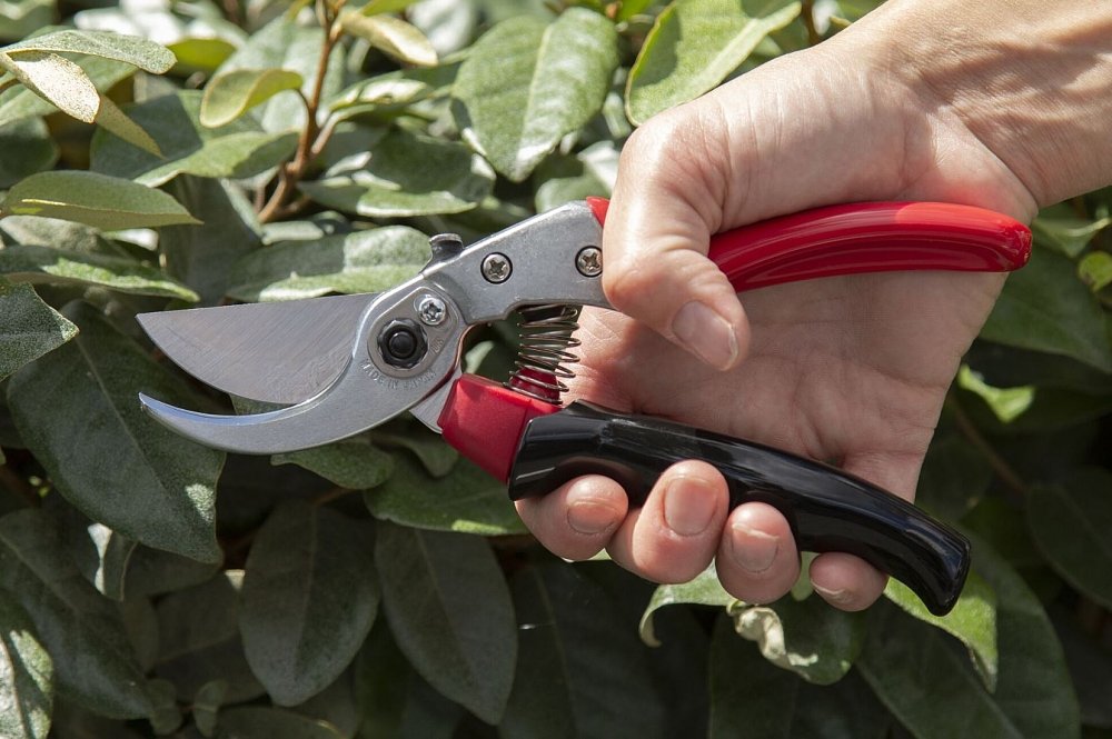 ARS VS-9XR ψαλίδι κλαδέματος – εφαρμογή στο χωράφι ή στον κήπο