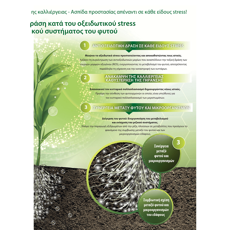 VITALFIT 1lt υγρό αντιστρες λίπασμα