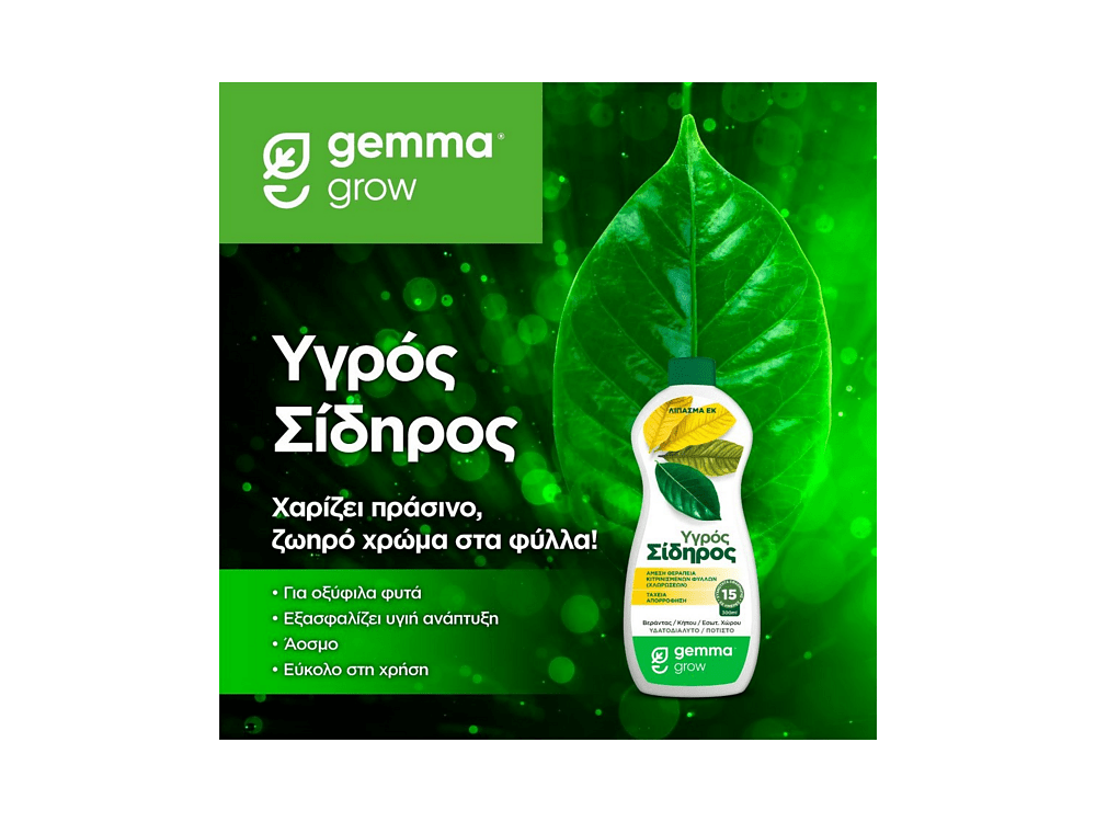 Υγρός σίδηρος 300ml για θεραπεία χλωρώσεων και κιτρινίσματος φύλλων φυτών