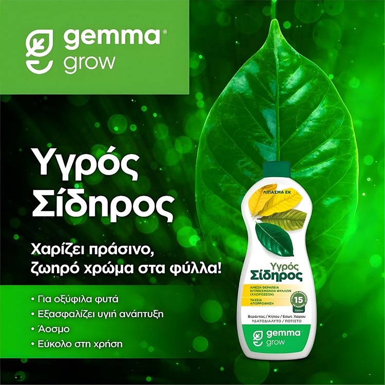 Μπουκάλι υγρού σιδήρου Gemma 300ml για κήπο και μπαλκόνι.