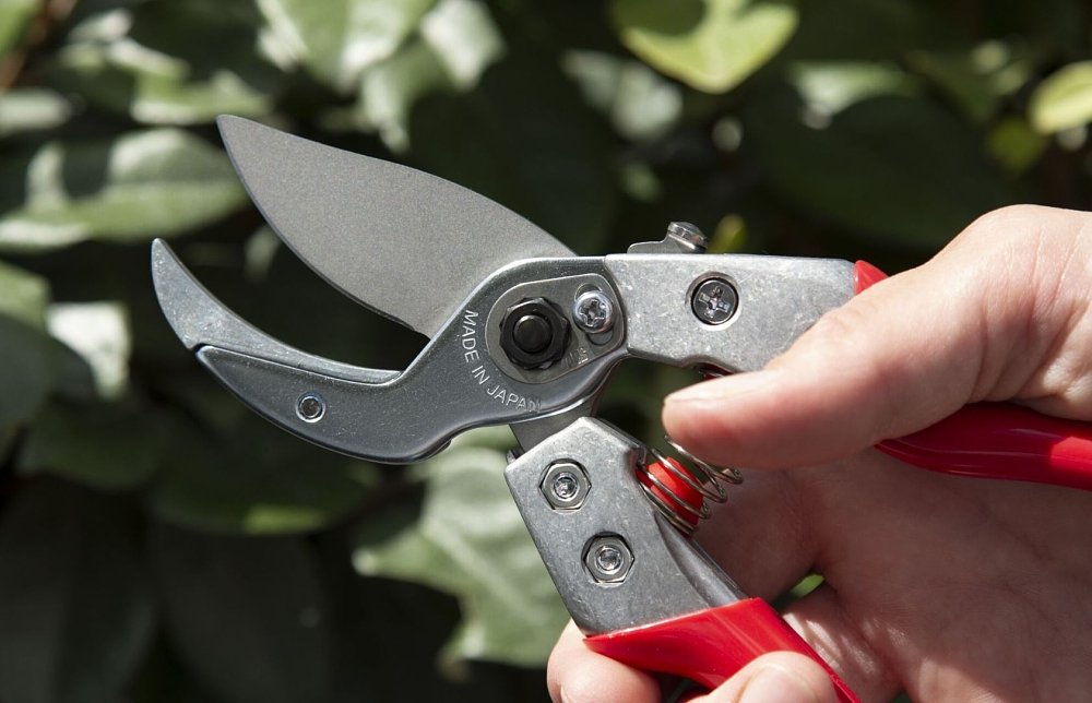 ARS VA-8Z ψαλίδι κλαδέματος αμόνι – χρήση σε γλάστρα ή οικιακό κήπο