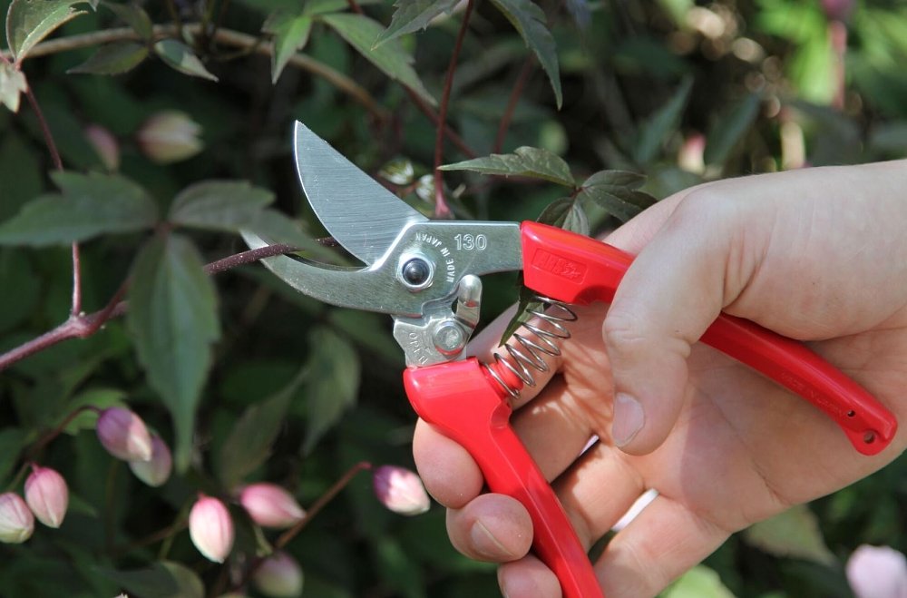 ARS 130DX ψαλίδι κλαδέματος – εφαρμογή στον κήπο