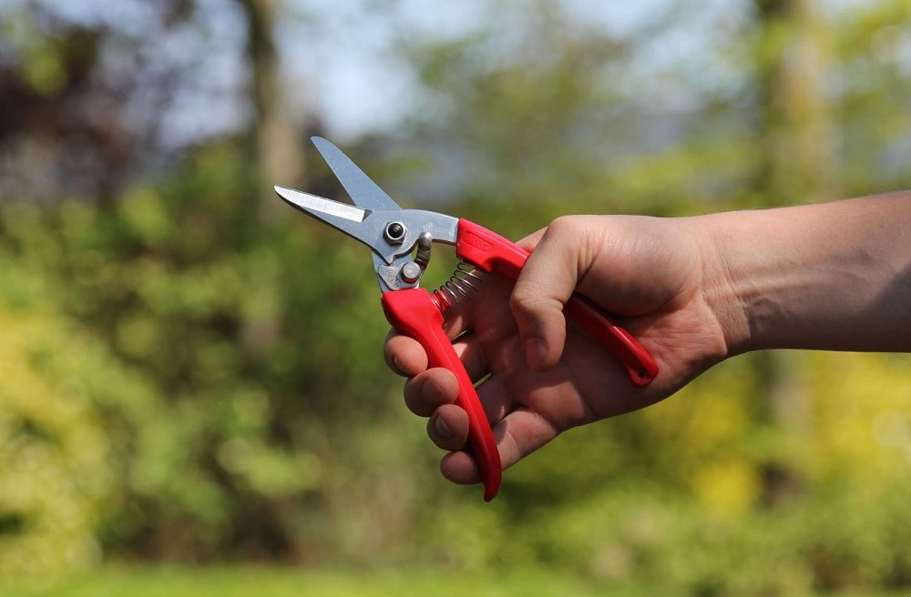 ARS 140DX ψαλίδι κλαδέματος – εφαρμογή στον κήπο