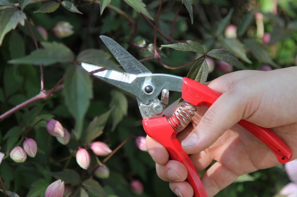 ARS 140DX ψαλίδι κλαδέματος – χρήση σε γλάστρα οικιακού κήπου