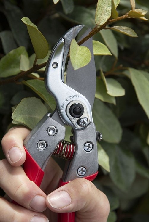 ARS VA-8Z ψαλίδι κλαδέματος αμόνι – χρήση από επαγγελματία