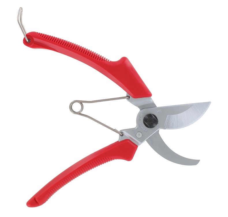 ARS 120DX ψαλίδι κλαδέματος – χρήση σε κλάδεμα φυτών