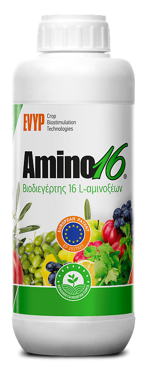 Amino16 EVYP – λεπτομέρεια υγρής υφής και χρώματος