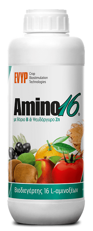 Amino16 B/Zn EVYP – Βιοδιεγέρτης B+Zn για Θρέψη & Καρπόδεση