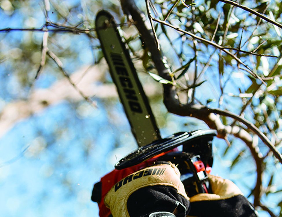 ECHO CS-280TES C – συσκευασία προϊόντος σε κοντινό πλάνο