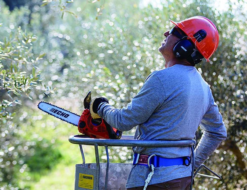 ECHO CS-280TES C – συσκευασία προϊόντος σε κοντινό πλάνο
