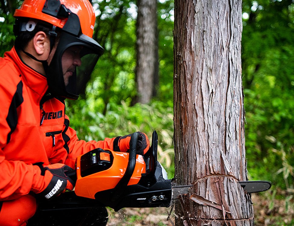 ECHO DCS-3500 – λεπτομέρεια λάμας και αλυσίδας