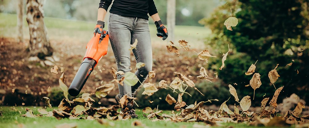 ECHO DPB-310 – χρήση σε οικιακό κήπο