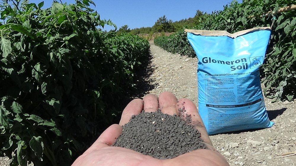 Glomeron Soil – λεπτομέρεια οργανικής υφής του προϊόντος
